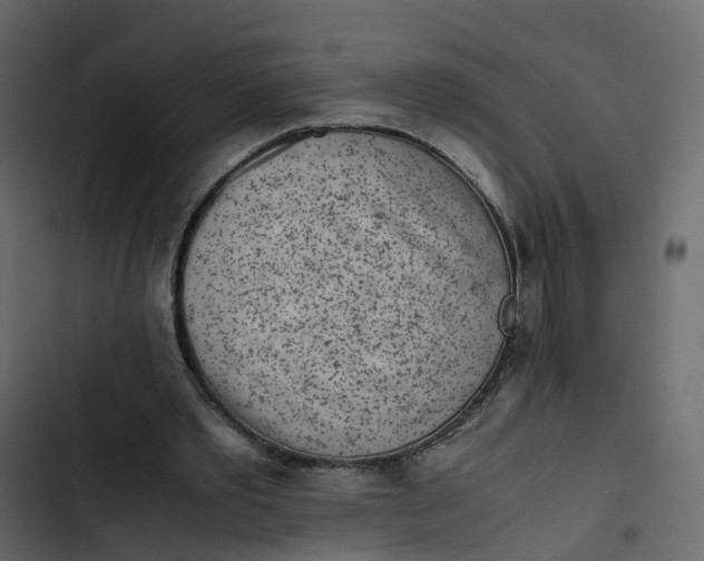 X0000102860389200809021429