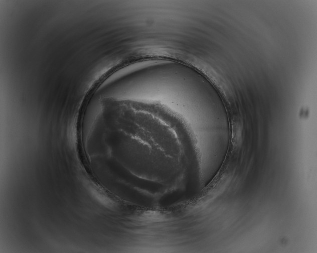 X0000102860390200809021429