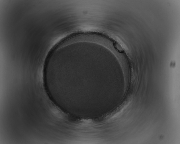 X0000102860391200809021429