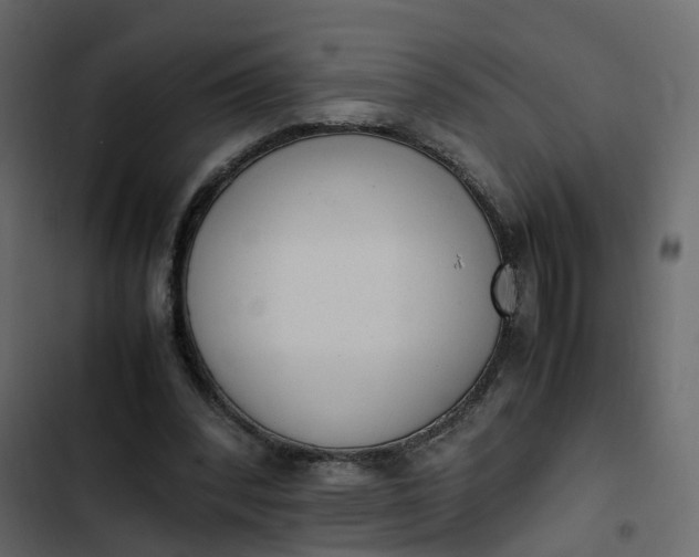 X0000102860392200809021429