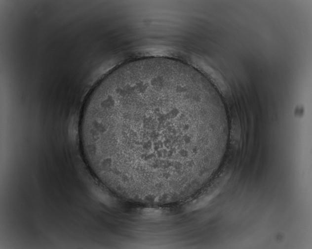 X0000102860394200809021429