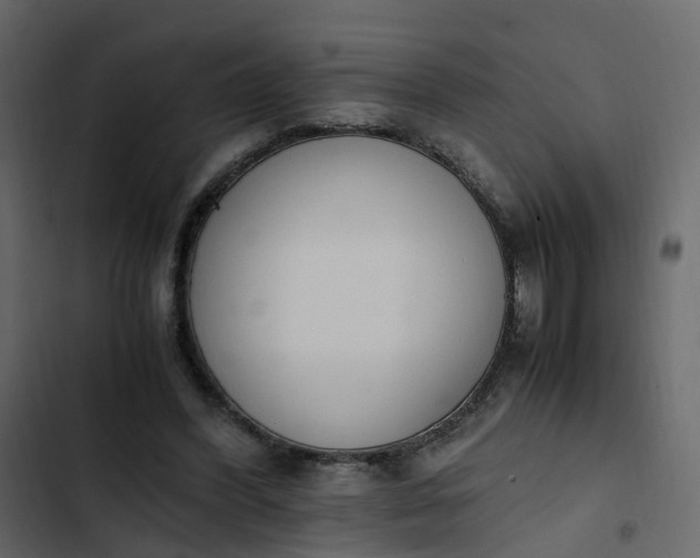 X0000102860396200809021429