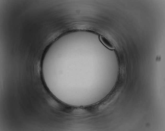 X0000102860397200809021429