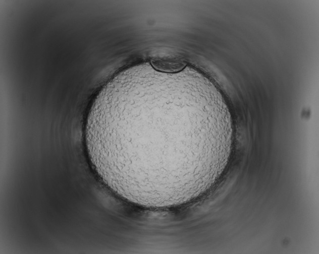 X0000102860401200809021429