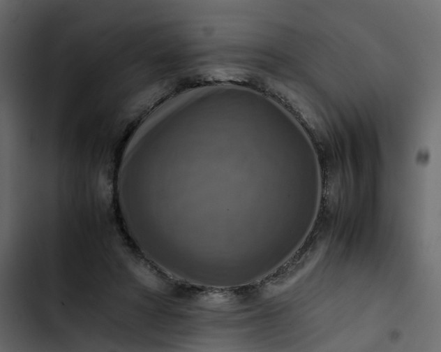 X0000102860402200809021429