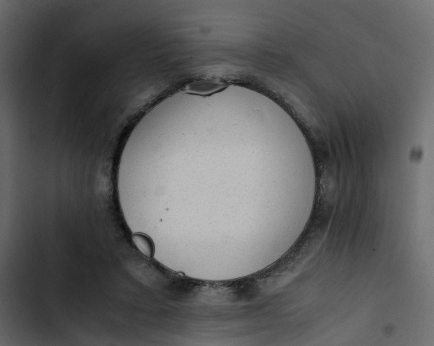 X0000102860403200809021429