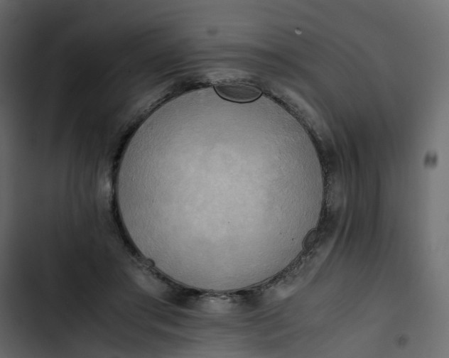 X0000102860405200809021429