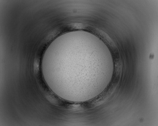 X0000102860406200809021429