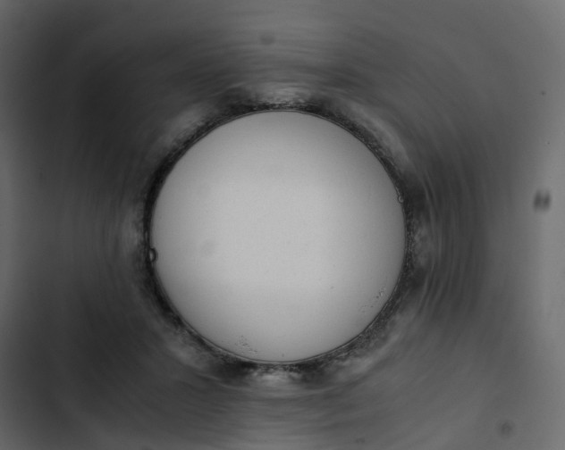 X0000102860407200809021429