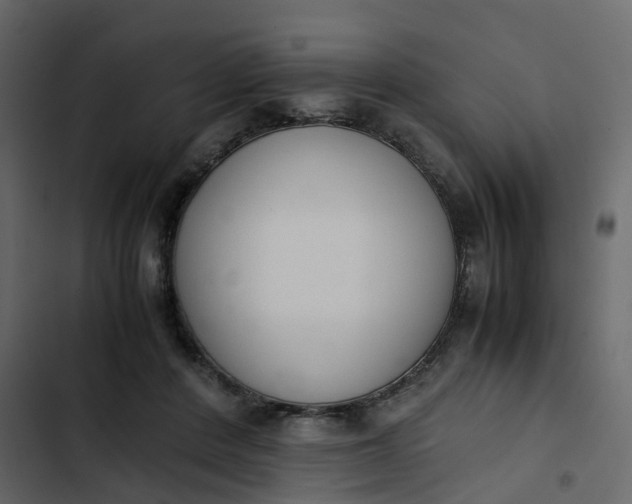 X0000102860408200809021429