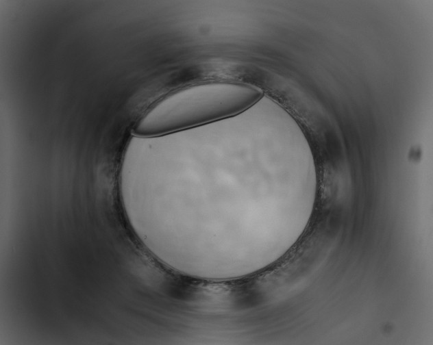 X0000102860409200809021429