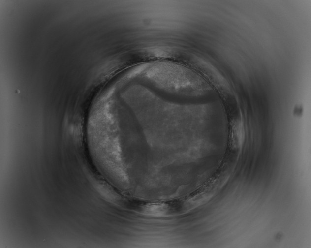 X0000102860410200809021429