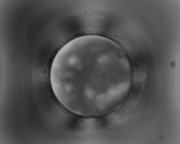 X0000102860411200809021429