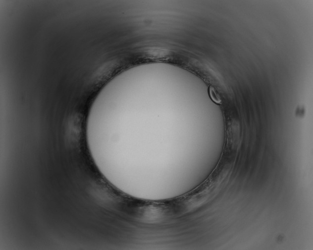 X0000102860412200809021429