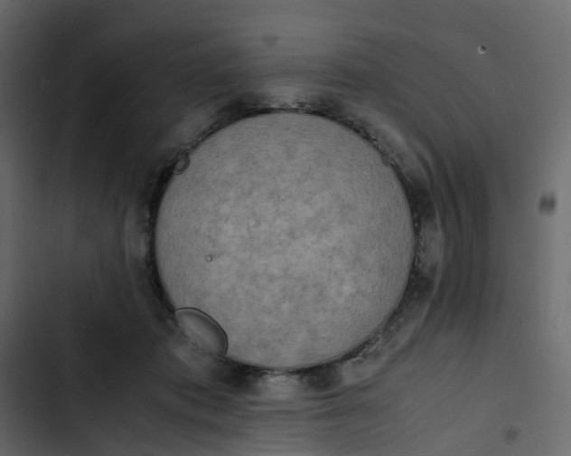 X0000102860413200809021429