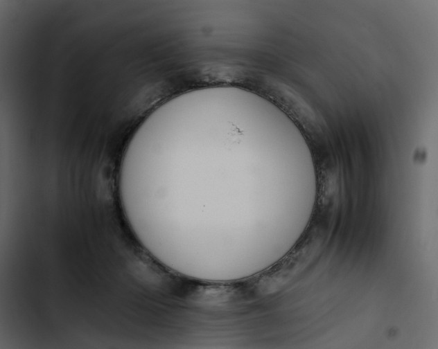 X0000102860414200809021429