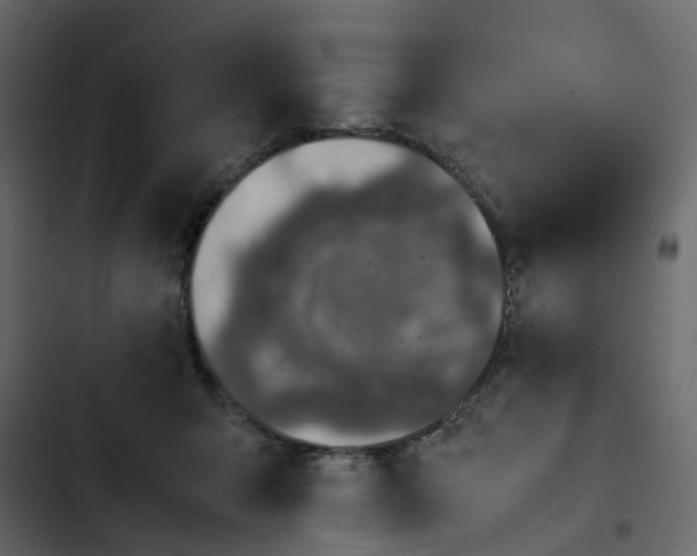 X0000102860415200809021429