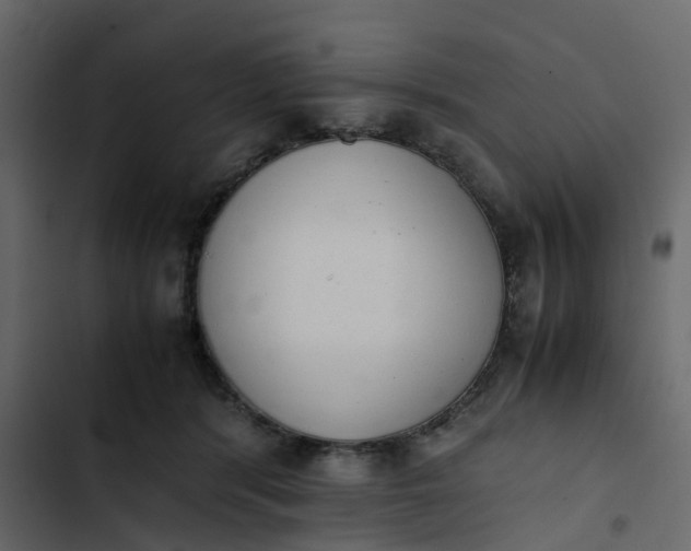 X0000102860416200809021429