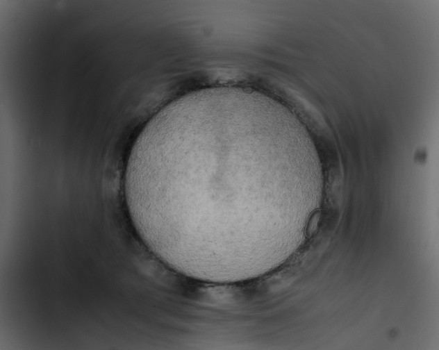 X0000102860417200809021429