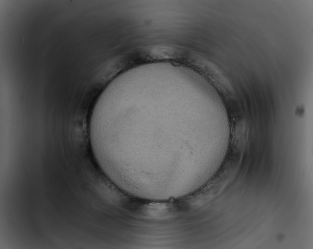 X0000102860418200809021429