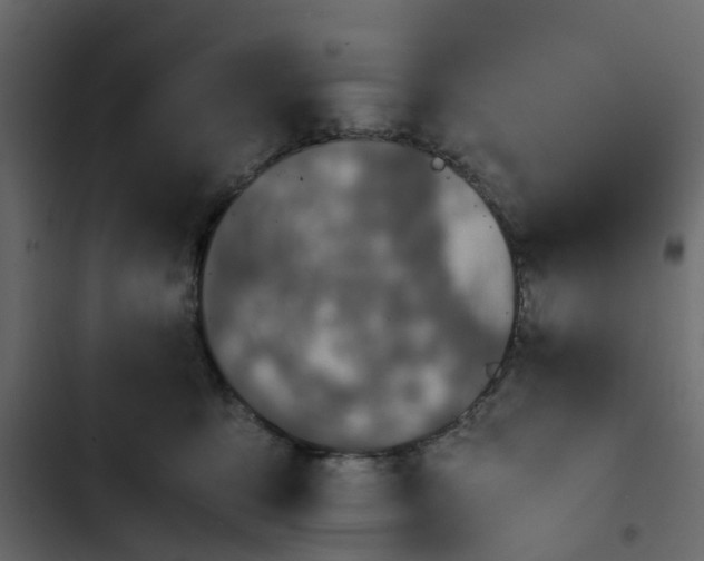 X0000102860419200809021429