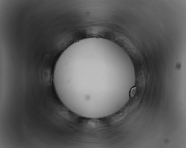 X0000102860420200809021429