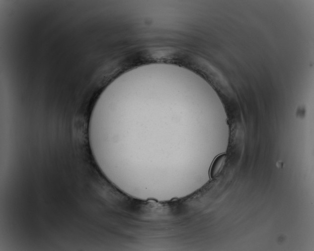 X0000102860421200809021429