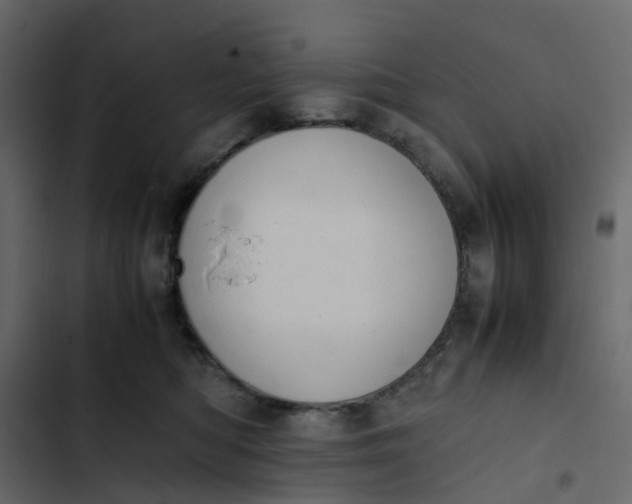 X0000102860422200809021429