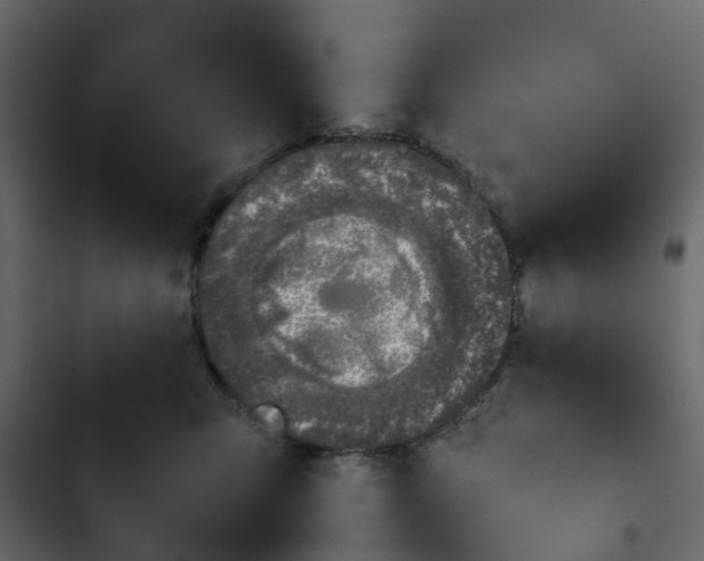 X0000102860423200809021429