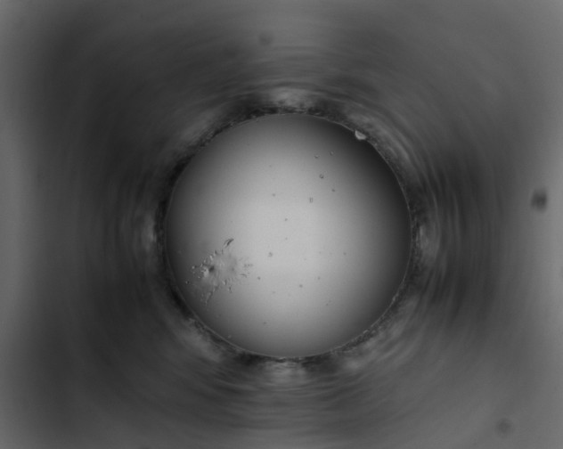 X0000102860424200809021429