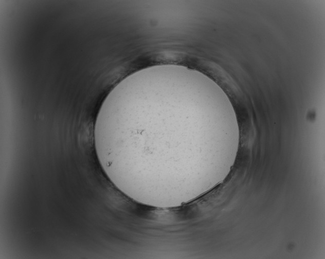 X0000102860425200809021429