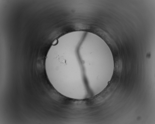 X0000102860426200809021429