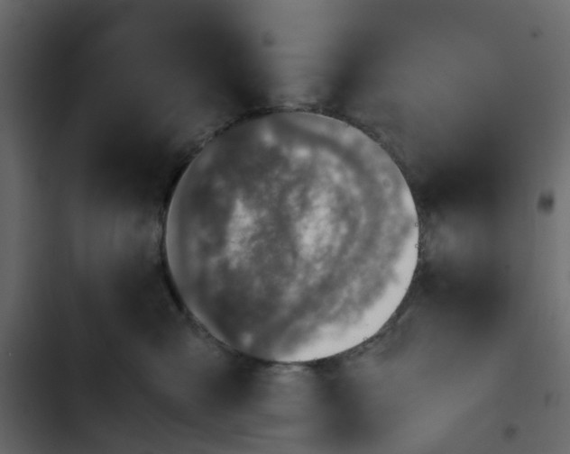 X0000102860427200809021429