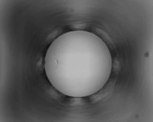 X0000102860428200809021429