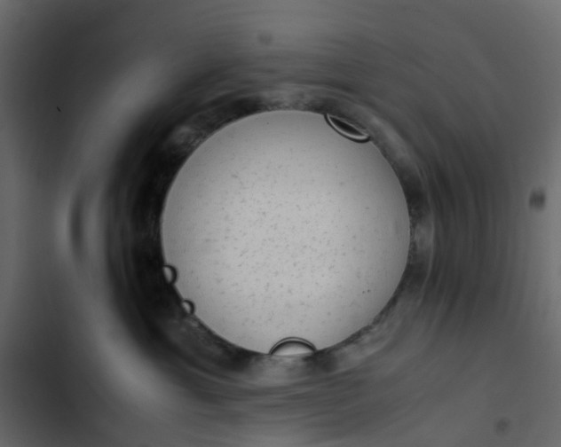 X0000102860429200809021429