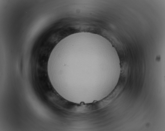 X0000102860430200809021429