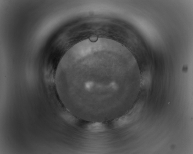 X0000102860431200809021429