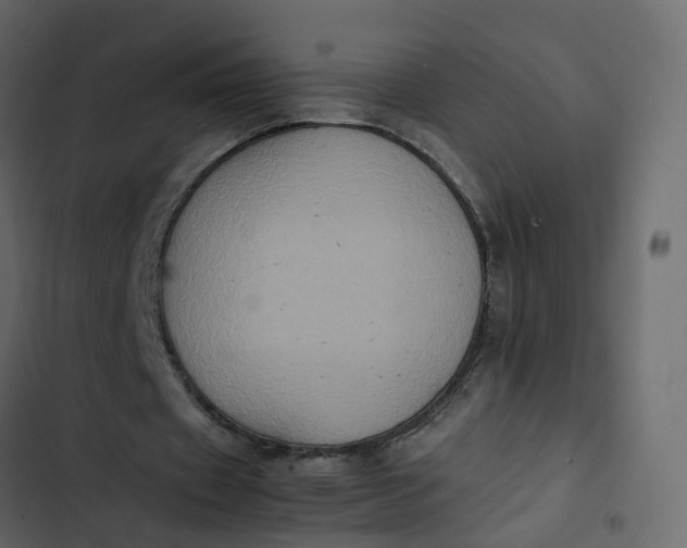 X0000102860433200809021428