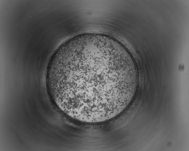 X0000102860434200809021428