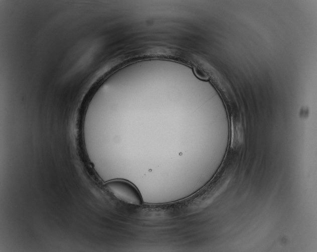 X0000102860435200809021428