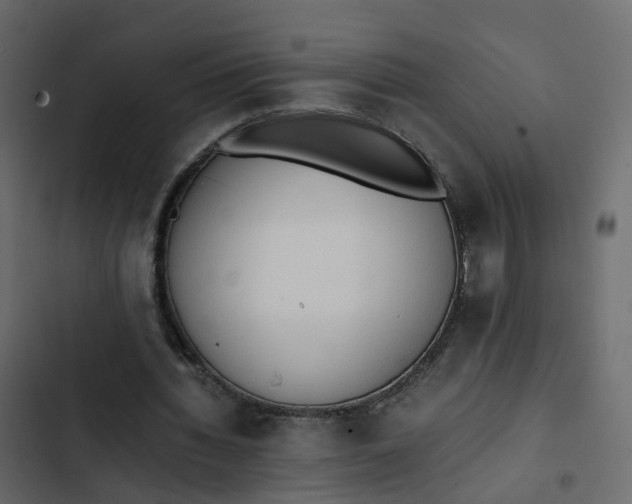 X0000102860436200809021428