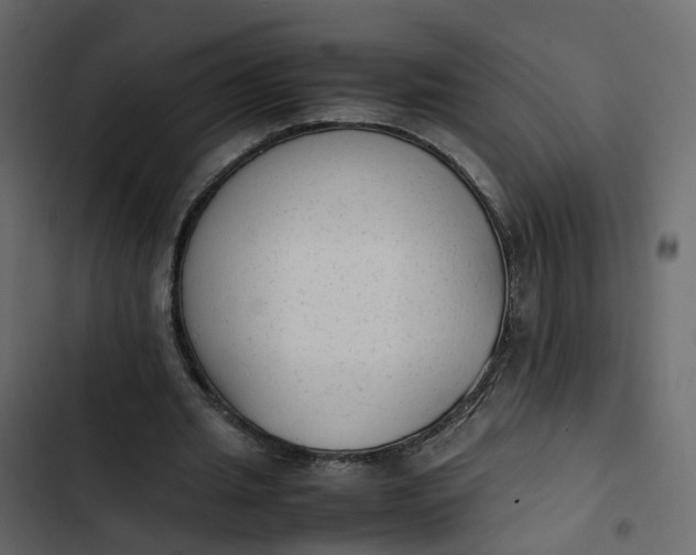 X0000102860437200809021428