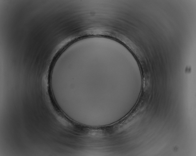 X0000102860438200809021428