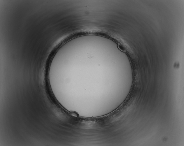 X0000102860440200809021428