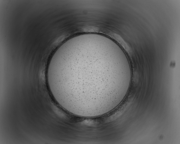 X0000102860441200809021428