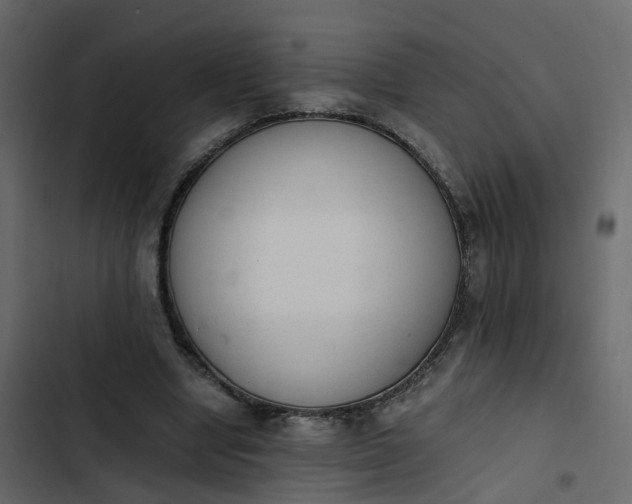 X0000102860442200809021428