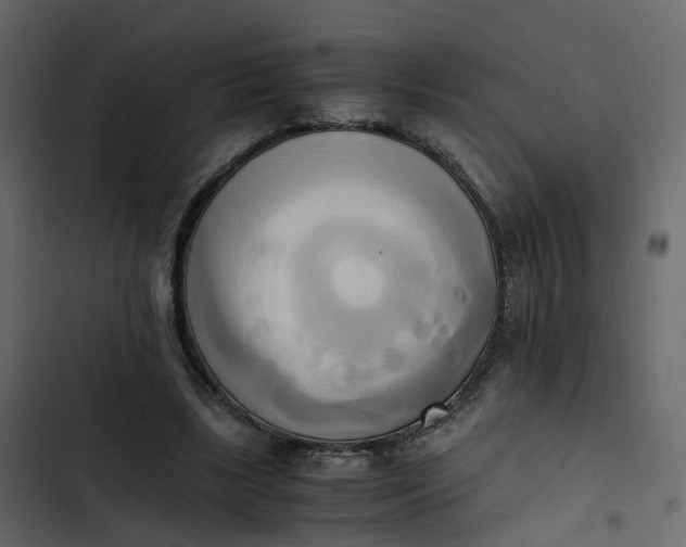 X0000102860443200809021428