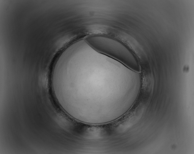 X0000102860444200809021428