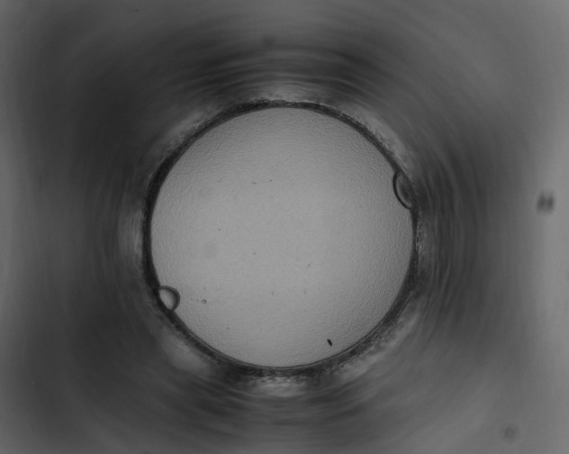 X0000102860445200809021428