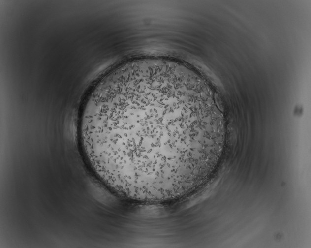 X0000102860446200809021428